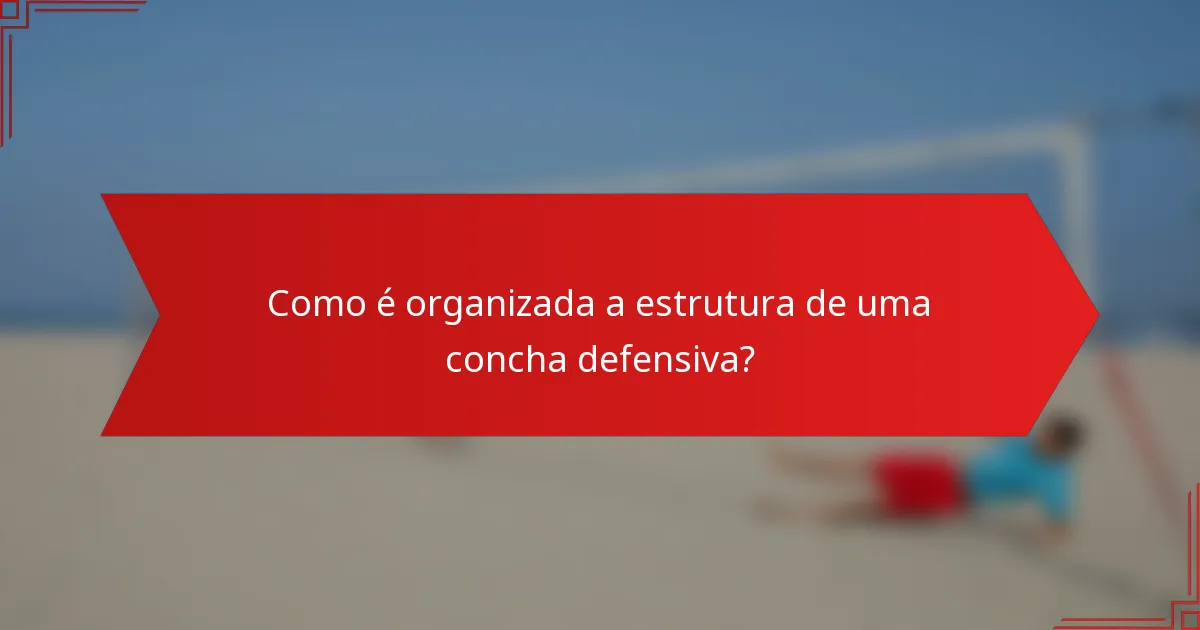 Como é organizada a estrutura de uma concha defensiva?